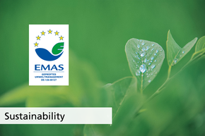 sustainability 3.png