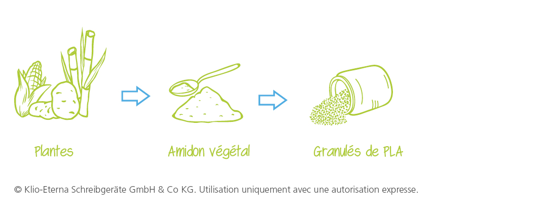 Processus Bioprocessus étape par étape Processus Bioprocessus